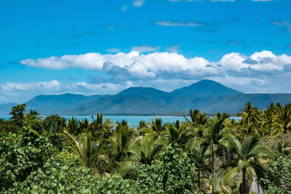 Cape Tribulation