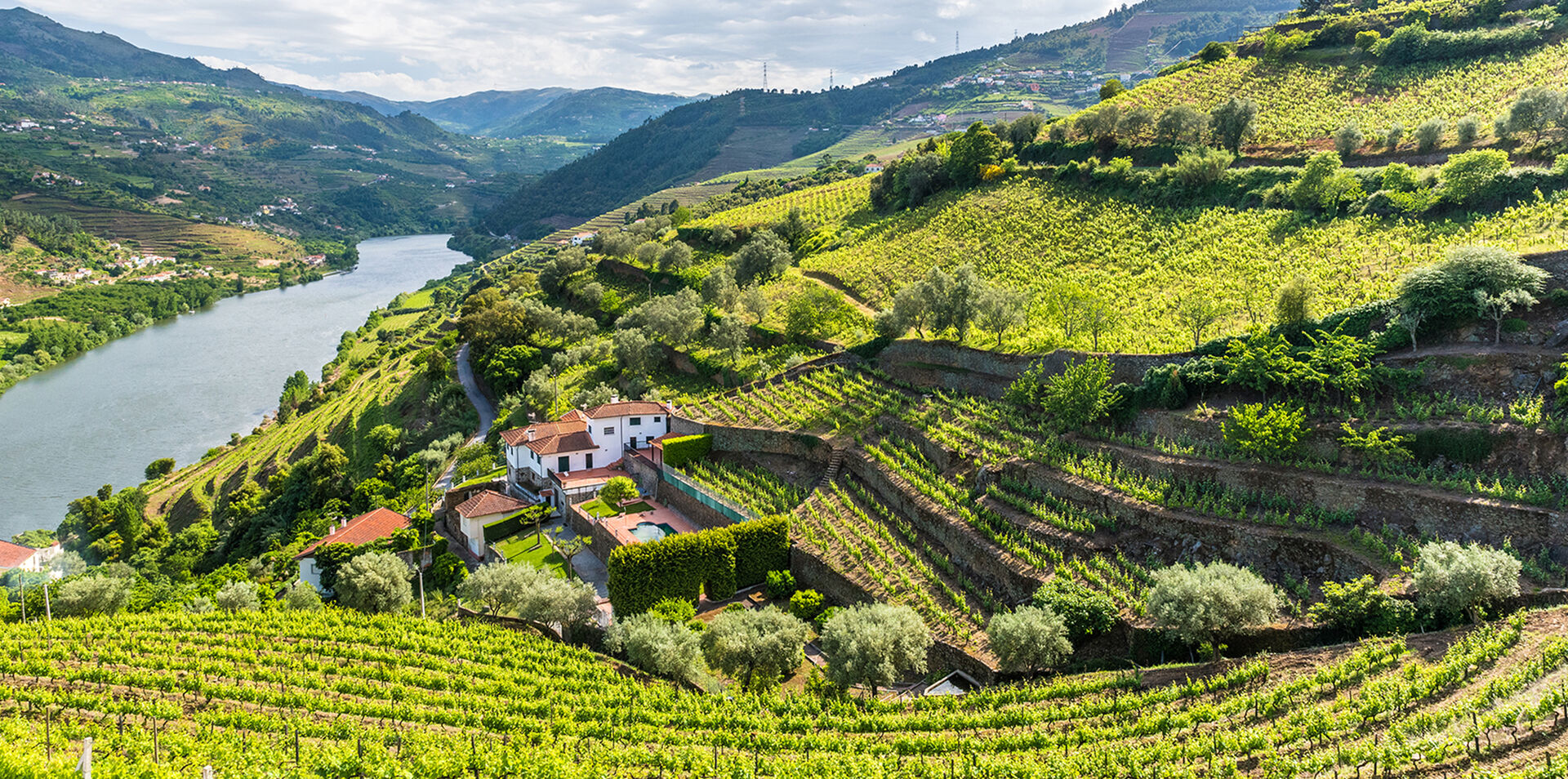 Vida Portugal