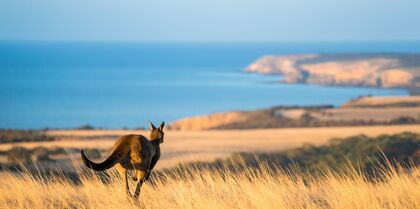 Kangaroo Island